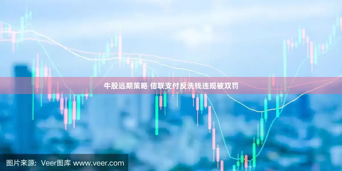 牛股远期策略 信联支付反洗钱违规被双罚