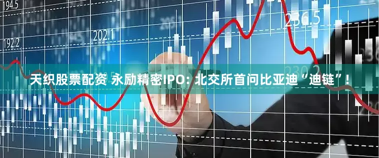 天织股票配资 永励精密IPO: 北交所首问比亚迪“迪链”!