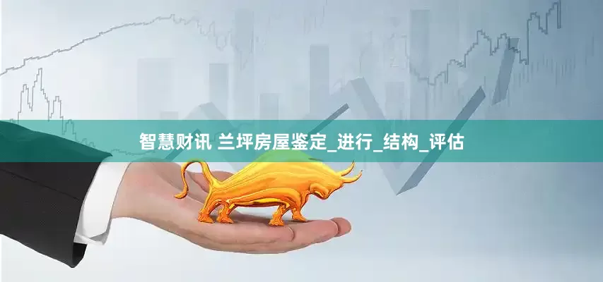 智慧财讯 兰坪房屋鉴定_进行_结构_评估