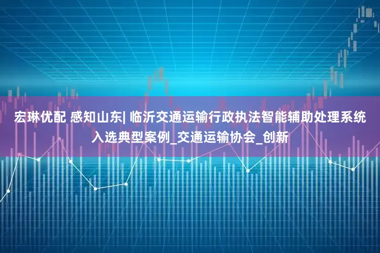 宏琳优配 感知山东| 临沂交通运输行政执法智能辅助处理系统入选典型案例_交通运输协会_创新