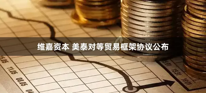 维嘉资本 美泰对等贸易框架协议公布