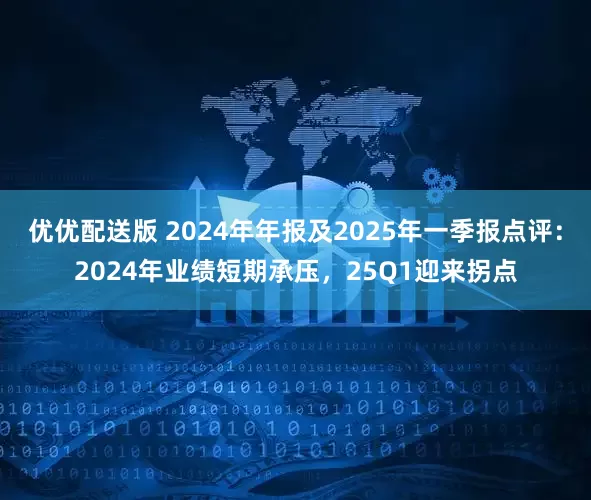 优优配送版 2024年年报及2025年一季报点评：2024年业绩短期承压，25Q1迎来拐点