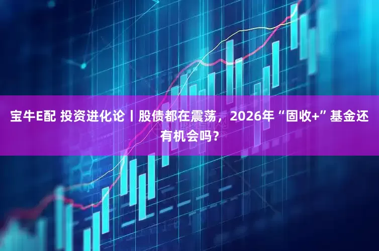 宝牛E配 投资进化论丨股债都在震荡，2026年“固收+”基金还有机会吗？